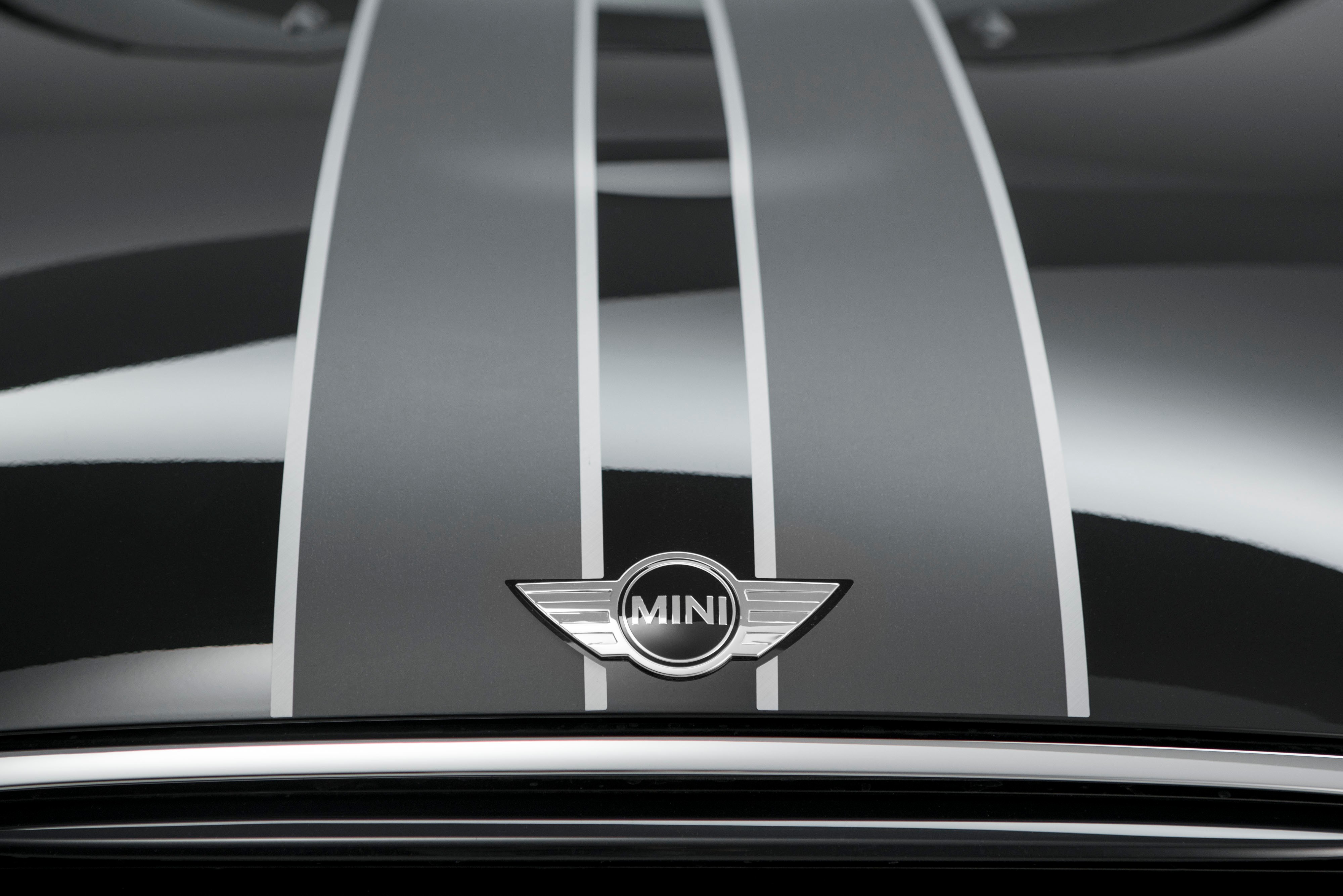 Racing Stripes